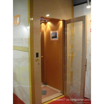 Hecho en el ascensor de China Manufacturer Fabricante / residencial / hogar / Ascensor del elevador de pasajero / piezas (FJ3000-1)